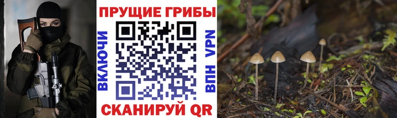 Галлюциногенные грибы Psilocybine cubensis  купить наркотик  Серов 